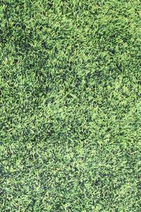 Conceptum Hypnose Kusový koberec Grass, Vícebarevná, 160 x 230 cm