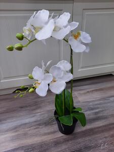Umělá květina Gasper Orchidej v květináči, 55cm, bílá