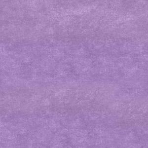 Conceptum Hypnose Kusový koberec WOOKECE1254, Purple