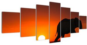 Obraz slona při západu slunce (210x100 cm)