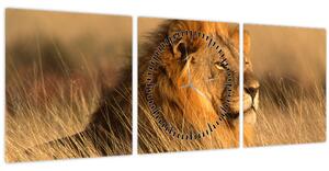 Obraz - Národní park Etosha (s hodinami) (90x30 cm)