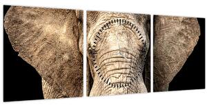 Obraz - Slon africký (s hodinami) (90x30 cm)