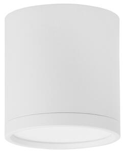 Bílé kovové stropní LED světlo Nova Luce Garf 7 cm