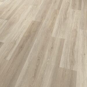 Conceptline Acoustic Click 30131 Dub Rimini