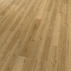 Conceptline Acoustic Click 30134 Dub Barcelona