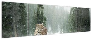Obraz leoparda ve sněhu (170x50 cm)