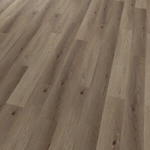 Conceptline 30136 Dub Florencie