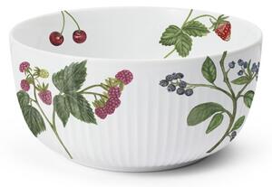 Porcelánová mísa Hammershøi Summer Berries 21 cm