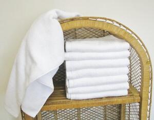 Forbyt Hotelový ručník nebo osuška, 70 x 140 cm