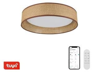 Immax NEO 07288L - LED+CCT Stm stropní svítidlo LONA 36W/230V pr. 45,5 cm+ DO