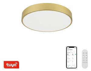 Immax NEO 07292L - LED+CCT Stm strop svítidlo SEMPLICI 36W/230V pr. 40 cm+DO