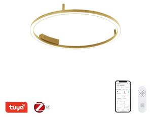 Immax NEO 07291-80G - LED+CCT Stm strop svítidlo FINO 55W/230V Tuya pr. 80 cm+DO