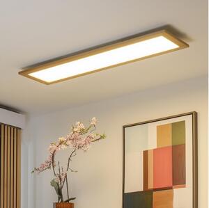 BRILAGI - LED Stmívatelné svítidlo SLIMFRAME WOOD LED/58W/230V 124x34 cm + DO