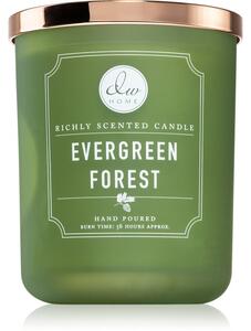 DW Home Signature Evergreen Forest vonná svíčka 445 g