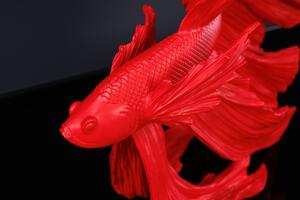 Soška FISH CROWNTAIL 36 CM červená Doplňky | Sochy a sošky