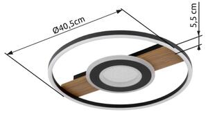 Globo 67323-24 - LED Stropní svítidlo PIKARA LED/24W/230V