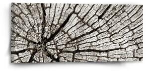 Sablio Obraz Dřevo - 110x50 cm