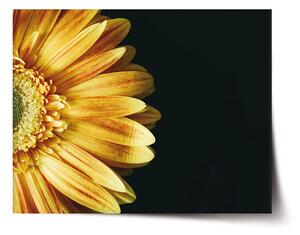 Sablio Plakát žlutá gerbera - 60x40 cm