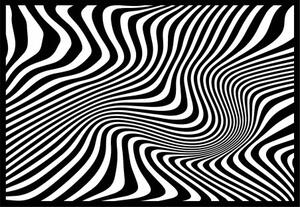 Dekorační obraz na zeď zebra I SENTOP PR0328 PREGLEJKA