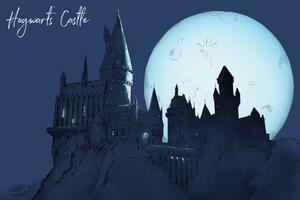 Umělecký tisk Harry Potter - Hogwarts Castlle, (40 x 26.7 cm)