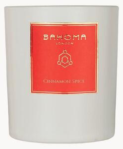 Vonná svíčka Cinnamon Spice (mandarinka, skořice)