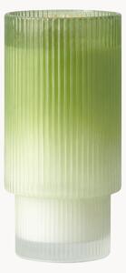 Vonná svíčka Aramara (Iced Matcha Latte)