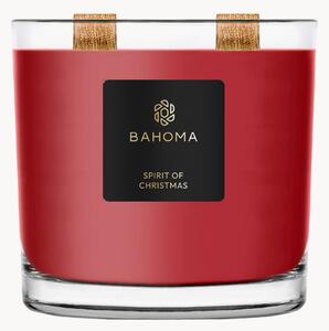Ručně vyrobená vonná svíčka se dvěma knoty Spirit of Christmas (cassis, hřebíček a ambra)