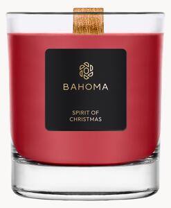 Ručně vyrobená vonná svíčka Sprit of Christmas (černý rybíz, hřebíček a ambra)