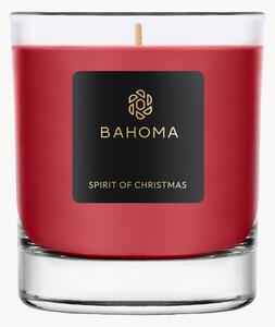 Ručně vyrobená vonná svíčka Sprit of Christmas (černý rybíz, hřebíček a ambra)