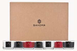 Sada ručně vyrobených vonných svíček Festive (rybíz, jedle a jantar), 10 dílů