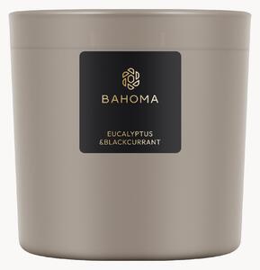 Ručně vyrobená vonná svíčka se třemi knoty Eucalyptus & Blackcurrant (freesie, gardénie, pižmo)