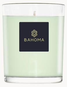 Ručně vyrobená vonná svíčka Alchemy (primule a jantarové dřevo)