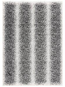 Kusový koberec PP Zučita krémovočerný 140x200cm
