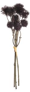 Kytice Kraspedia 30cm deep brown