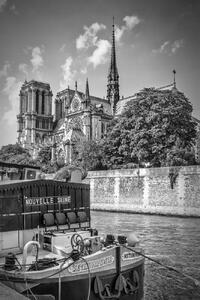 Fotografie PARIS Cathedral Notre-Dame | monochrome, Melanie Viola, (26.7 x 40 cm)