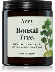 Aery Botanical Bonsai Tree vonná svíčka 140 g