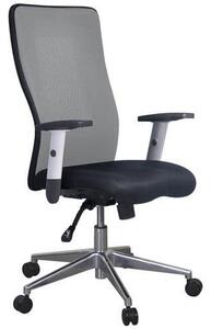 Kancelářská židle Manutan Penelope Top Alu, šedá