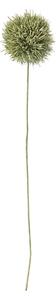 Umělá květina Allium Green 63 cm