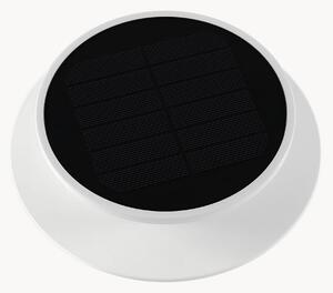 Solární LED reflektor Solia Spike