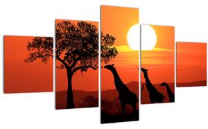 Obraz žiraf při západu slunce (125x70 cm)