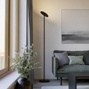 EGLO LED stojací lampa PIAGNOLO, černá, výška 168 cm,, stmívatelný, Černá, Obývací pokoj / jídelna, kov