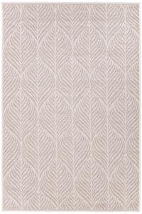 Koberec FLORA 56003 D9TJ