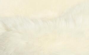 Kusový koberec Ovčí kožešina velká krémově bílá BARVA: Bílá, ROZMĚR: 70x110 cm