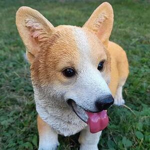 Pes welsh corgi, 30 x 26 cm, polyston PRODEX WG20057