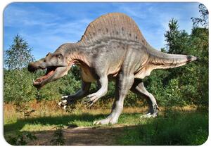 PokojovaDekorace.cz, Dětské prostírání - 038, Dinosaurus, 43x30cm