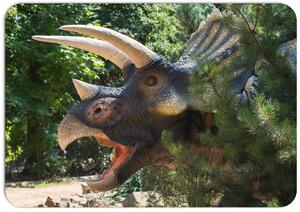 PokojovaDekorace.cz, Dětské prostírání - 041, Dinosaurus, 43x30cm