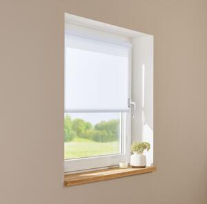 LIVARNO home Roleta pro denní světlo, 60 x 150 cm (bílá) (100373073001)