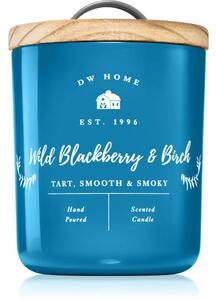 DW Home Farmhouse Wild Blackberry & Birch vonná svíčka 255 g
