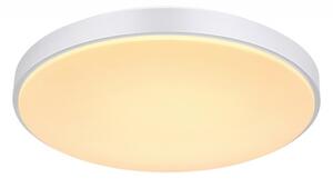 Globo 41586-24 - LED Stmívatelné stropní svítidlo SONNY LED/24W/230V + DO
