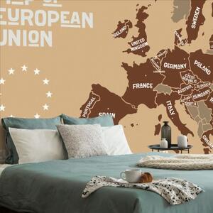 Tapeta hnědá mapa s názvy zemí EU - 300x200 cm
